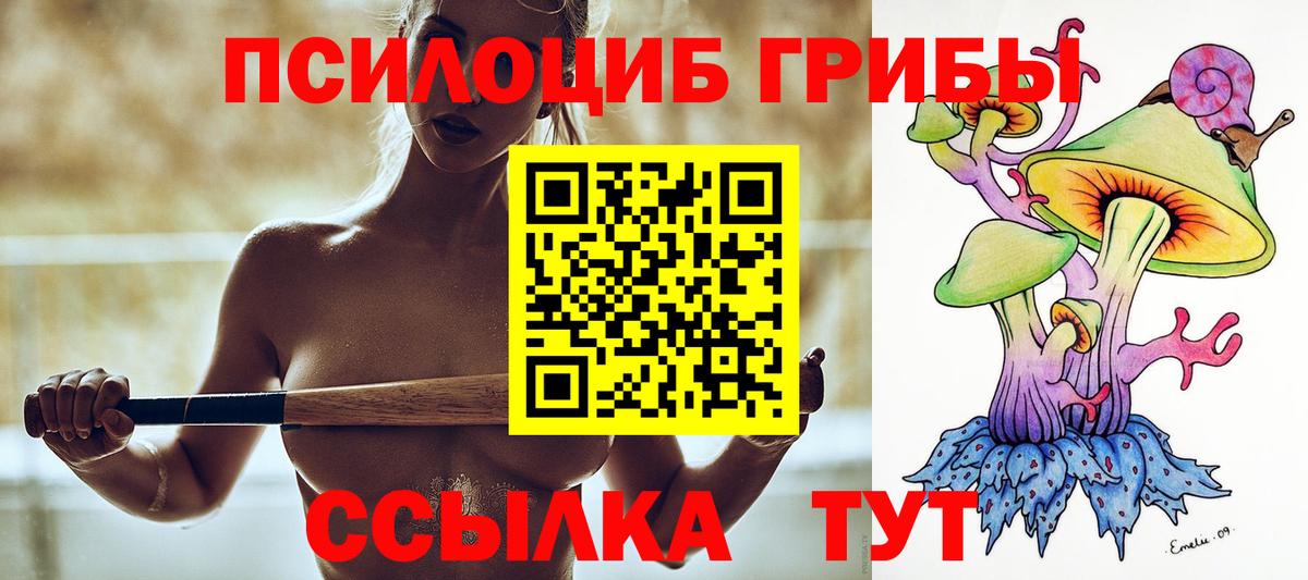 Клинцы  Галлюциногенные грибы MAGIC MUSHROOMS  цены   Вход с VPN 